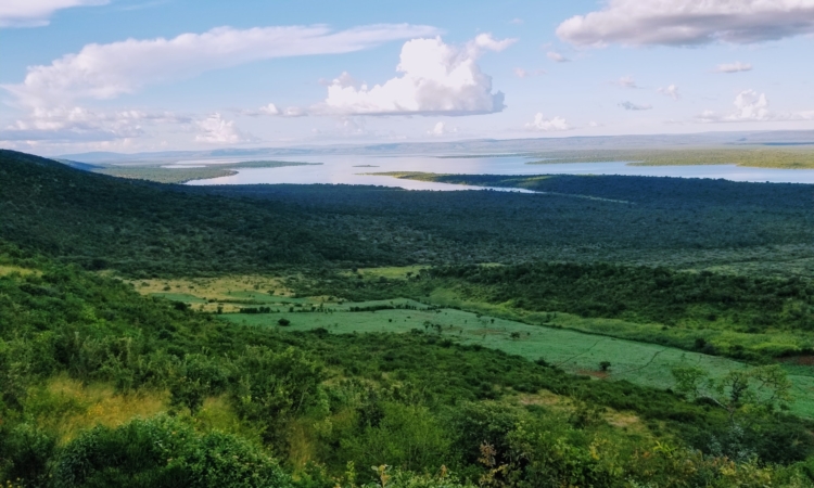 3-Day Akagera Safari - Wildlife and Adventure