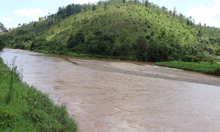 Nyabarongo River