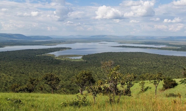 Explore Ukonga Wetland