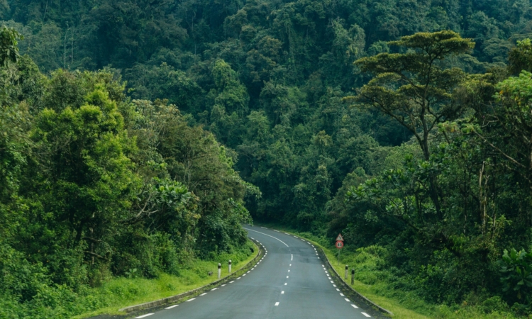 Akagera Tours from Nyungwe - Rwanda’s Safari Combo