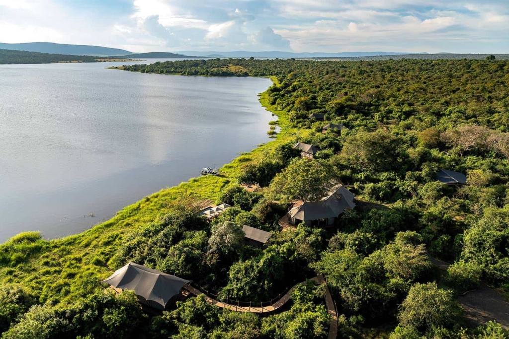 Magashi Peninsula - Akagera's Exclusive Wildlife Haven